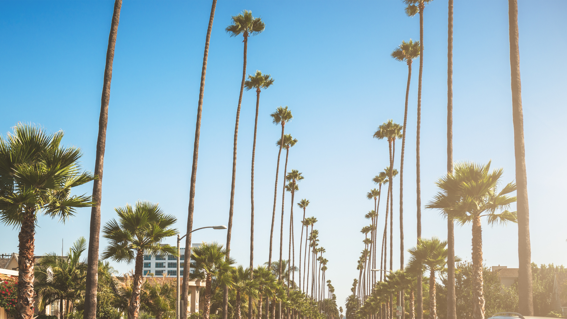 Mental Health Counseling in Los Angeles Mental Health Counseling in Los Angeles